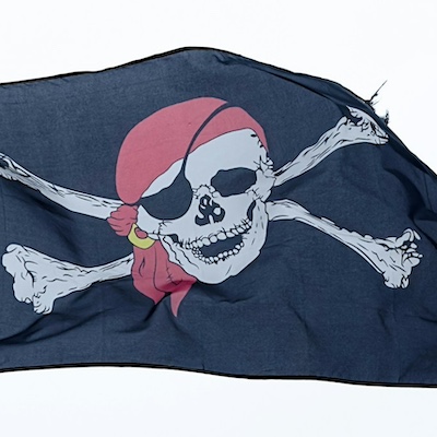 a pirate flag